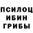 Псилоцибиновые грибы Cubensis Skil mem