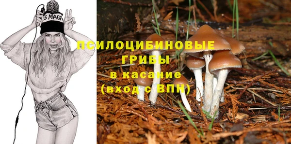 герыч Коряжма