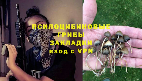 кристаллы Корсаков