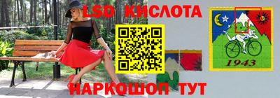 спиды Гатчина
