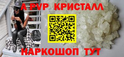спиды Гатчина