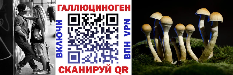 Псилоцибиновые грибы Cubensis  Керчь 