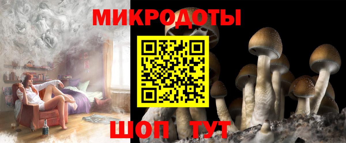 Керчь  Псилоцибиновые грибы Magic Shrooms  Вход с VPN 