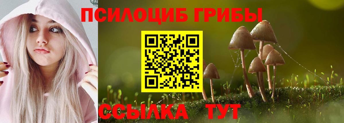 Галлюциногенные грибы Psilocybe Керчь