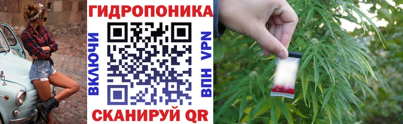 Шишки марихуана гибрид  Керчь 